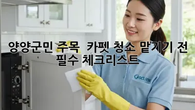 양양군민 주목! ✨ 카펫 청소 맡기기 전 필수 체크리스트 💯