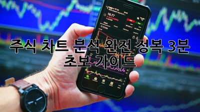 주식 차트 분석 완전 정복: 3분 초보 가이드