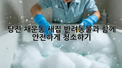 당진 채운동 새집, 반려동물과 함께 안전하게 청소하기